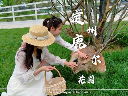 五一遛娃一定要来鹿尔花园 一票畅玩30 ➕游乐项目,可近距离喂鹿、遛娃 、休息露营适合全家出行!#定州鹿尔花园#这个五一看我的鹿尔花园