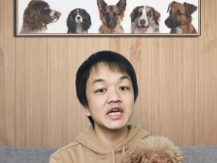 幼犬太会闹腾,吵死人了,3招让它安静老实 #科学养宠攻略 #萌宠 #狗狗 #铲屎官的乐趣