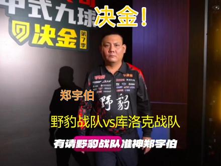 王者之间的对决! #张堃鹏 #赵汝亮 #郑宇伯 #决金 #坦盾球杆@坦盾球杆
