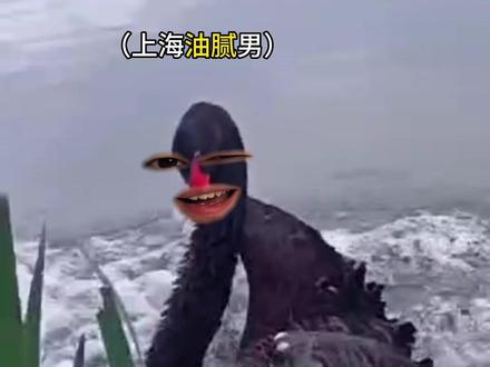 #上海话#搞笑#动物配音 当你在打车时遇到上海油腻男