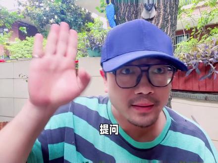 #创作灵感 鹦鹉有没有味觉?鹦鹉不吃蔬菜水果,不吃新的食物,咋处理?#鹦鹉小白 #鹦鹉 #手养鸟 #手养鹦鹉