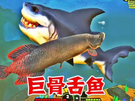 巨骨舌鱼偷吃鱼肉,被巨齿鲨盯上#海底大猎杀 #游戏