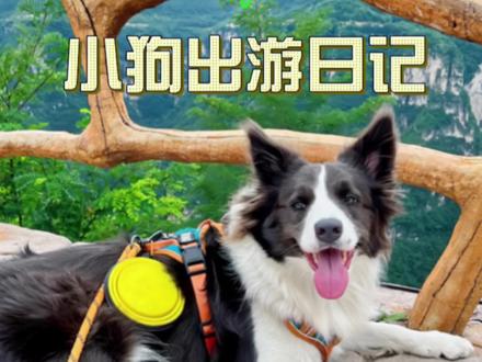 长治八泉峡景区真的可以带狗狗进去玩,而且小狗也不需要门票,攸攸解锁了好多第一次,太快乐了!#长治八泉峡景区 #小狗可以治愈一切#小狗爬山 #狗生第一次