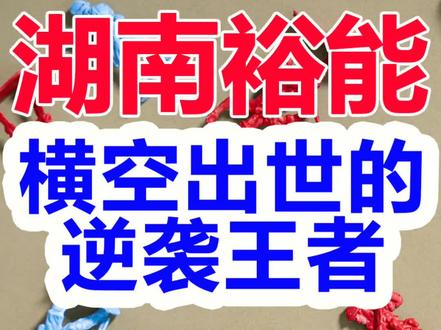 湖南裕能|宁德时代和比亚迪均为前十大股东,营收占比更是超90%的新能源龙头 #投资理财