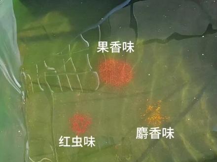 秋冬季节该用什么样味型的酒米打窝,用对味型直接爆护!#原来钓鱼才是抖音运动顶流 #钓鱼人 #钓鱼
