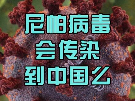 死神来了?尼帕病毒 (Nipah Virus) 死神来了?尼帕病毒 (Nipah Virus)#平行空间 #2026#地球 #未来