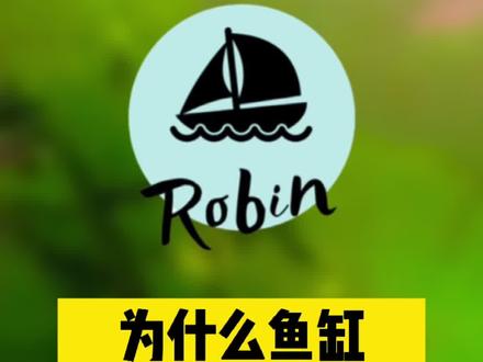 为什么鱼缸会长绿尘藻#草缸 #dou热门 #水族 #水草造景 #水族 #藻类