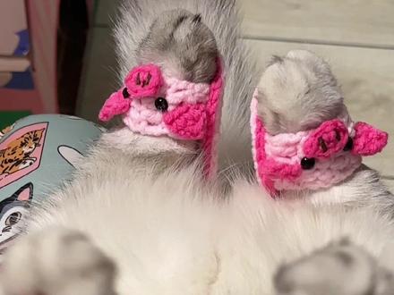 #张嘟嘟 #粤语 我是叻叻猪!你是傻猪猪~~