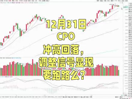 12月31日CPO冲高回落,调整信号显现要跑路么?