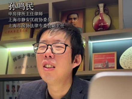 二次元咨询者满嘴结界羁绊,孙律师:你这样说话要叫法警的! #上海房产纠纷 #上海打官司 #动迁 #离婚 #继承