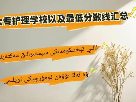 大专护理院校汇总及分数线#高考