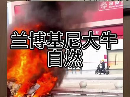 兰博基尼大牛自燃#广州租车 #租车#广州大牛自燃