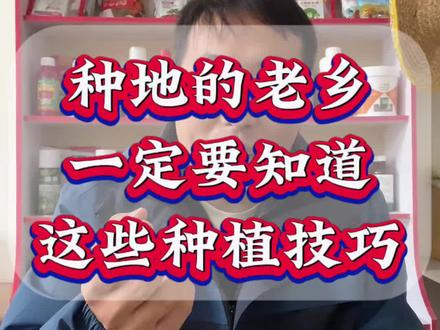 这些种植技巧你知道吗?#农业种植#果树种植#果园管理#三农 #果园
