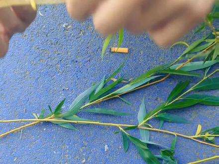 夏天来了,编个花环草帽吧#花环怎么编 #柳条编织花环教程视频 #树叶帽子编织视频