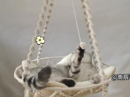 猫咪秋千编织教程3,一起来学习制作这款超可爱的猫咪秋千吧! #猫咪秋千 #材料包 #猫星人 #编织教程 #编织