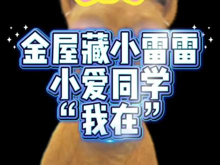 少男心事可太有意思了,句句不提他,句句不离他!好好好!w粉姐姐你们吃的太好了!#这是个真实的事情 #一般人不告诉他 #少男心事 #梓渝 #爱情伟大