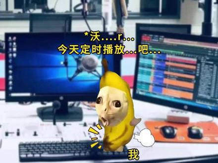 当广播体操遇上疯狂的鸽子 音频:#UwUFunk X 七彩阳光——不哭墨镜会掉 #音乐种草计划 #猫meme #音乐 #校园生活