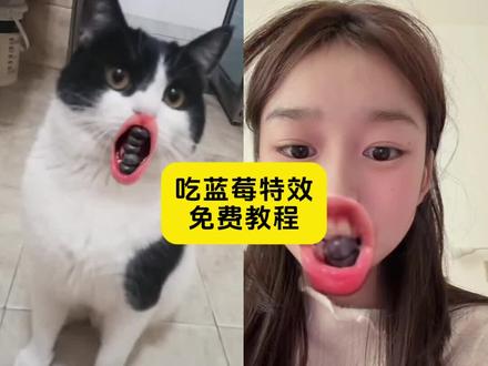 挑战沉浸式吃嘎嘣脆蓝莓特效 沉浸式吃蓝莓 挑战沉浸式吃嘎嘣脆蓝莓怎么拍 蓝莓 挑战沉浸式吃嘎嘣脆蓝莓 挑战沉浸式吃嘎嘣脆蓝莓最热 咬蓝莓 挑战沉浸式吃嘎嘣脆 嘎嘣脆蓝莓 吃蓝莓#剪映 #挑战沉浸式吃嘎嘣脆蓝莓 #吃蓝莓 #吃蓝莓特效教程 吃播特效 #蓝莓特效拍同款 蓝莓吃播 吃蓝莓声控 蓝莓系列声控 吃蓝莓特效 吃蓝莓特效拍同款 吃蓝莓声控特效吃蓝莓声控
吃蓝莓特效教程
蓝莓特效
吃蓝莓老鼠特效
吃蓝莓那个视频是什么特效