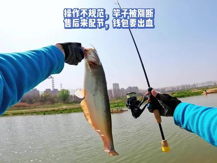 操作不规范,竿子被别断,售后来配节,钱包要出血!#路亚鳜鱼#路亚鲶鱼#钓之屋潜龙二代 #路亚放流 #根钓钩软饵