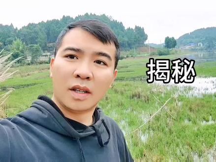 如果这个是真的,你让鱼饵料厂家情何以堪。#2023dou来钓鱼 #钓鱼人 #说真话 #小心骗局 #户外