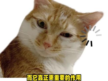 原来霸王龙的前肢还有这样的作用 #霸王龙 #动物 #神奇的大自然