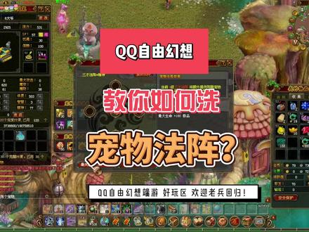 #QQ自由幻想 宠物洗法阵教程,好玩区哦哦哦提供!#老兵回归自由幻想 #经典游戏 #我的游戏日常