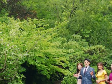 #爱情公寓五 3-4@DOU+小助手