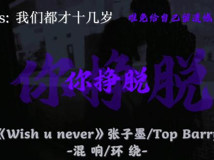 我们都才十几岁 难免给自己留遗憾.#分享单曲 #topbarry#戴上耳机#张子墨新歌Wish u never