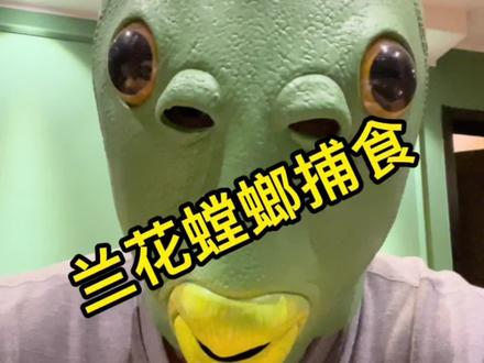 兰花螳螂新技能~