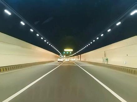 这么多年,终于有幸遇见海底隧道天幕开启,看见了这么大一只潮鲅,太震撼了。#胶州湾海底隧道 #保持热爱奔赴山海 #在路上 #