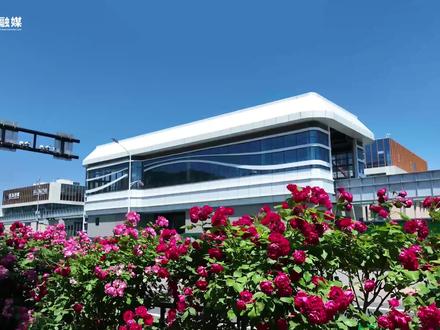 高效换乘 通达互联 一起体验高新东区云巴与地铁的换乘站#济南高新区#济南高新东区云巴