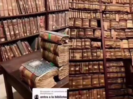 揭露汉人“农耕四宝”沦为“澳洲四野”的真相,华夏民族记忆被集体抹除,流浪400年的它们始终没等回曾经的主人 #华夏文明 #文化传承 #明朝 #汉族