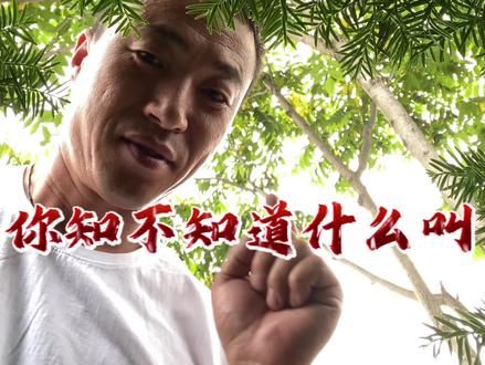 老铁们知道什么是色拉油么?#一级精炼油#反式脂肪酸#紫苏籽油#亚麻酸#崔波食用油