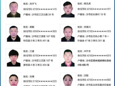 中国人不骗中国人! #全民反诈