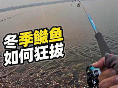 冬季如何狂拔鳡鱼!#路亚 #路亚野钓 #路亚冬季野钓