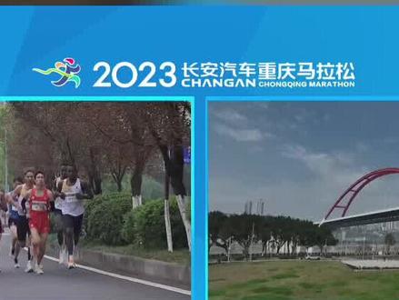 跑马看桥都,#2023重庆马拉松 正在直播#重庆dou知道