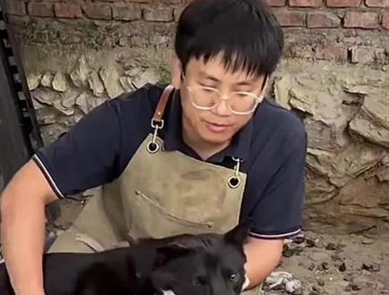 冬冬我啊 也遇到心软的神了#骏良 #好狗冬冬 #狗