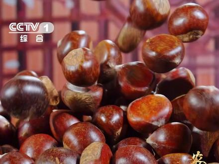 【元代就出口海外的宽城板栗】 宽城板栗自元代设立驿站以来便出口海外,在国际上享有很高的知名度,可见元代就有外国友人见识过宽城板栗的香甜~如今,伴随现代科技产业的引领,栗子的产品线和产业链不断延伸,#板栗食品出口全球30多个国家和地区!#农耕探文明