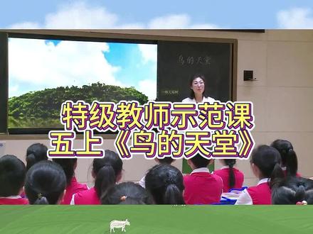 特级教师示范课五上《鸟的天堂》公开课(有课件教案)