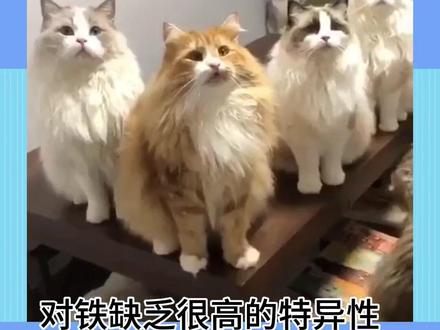 来例假总想吃凉的或许是身体缺乏某项指标了#女生必备 #经期知识 #冷知识 #大姨妈