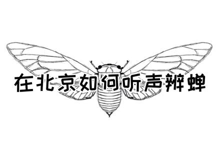 夏天夏天就要过去留下小蝉鸣#自然想知道 #科普 #昆虫 @抖音小助手 @DOU+小助手