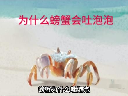 十万个为什么之螃蟹为什么吐泡泡 #螃蟹 #动物 #少儿阅读 #少儿科普