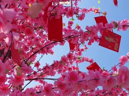 新年出游怎么拍📸分享5个新年拍照小技巧🧨 #新年拍照 #拍出氛围感 #拍照技巧 #镜头里的年味儿 #马年技术流来开年