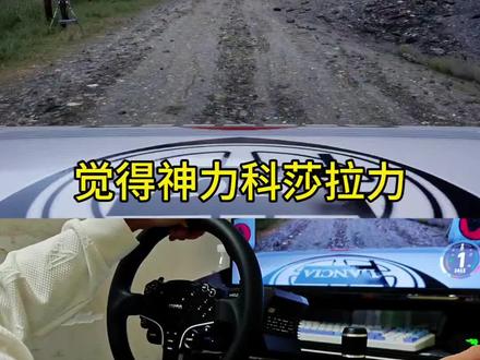 速度感不够?#神力科莎拉力 #acr #wrc #赛车模拟器 #拉力赛