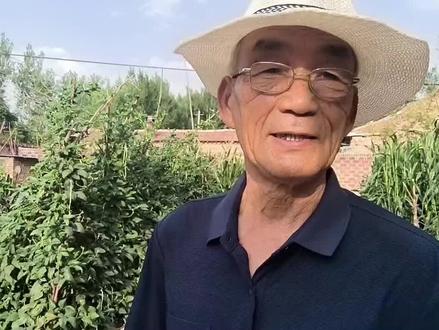 白萝卜青萝卜平地种还是起垄种。#白萝卜青萝卜的种植