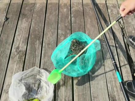 点开我头像,学习更多糠虾打窝糠虾钓,关注我收藏好视频,不太清楚的问杨光!!建议宽水面的地方垂钓。