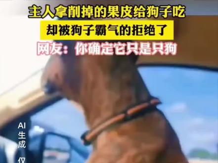 主人拿果皮喂狗子,狗子霸气拒绝!