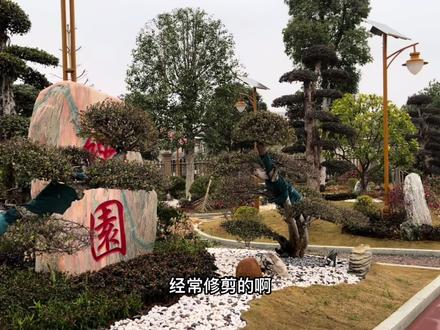 19岁白手起家40来岁就拥有了巨量财富,又是一个励志故事