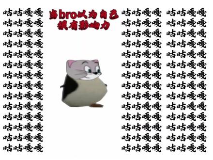 当bro以为自己很有影响力