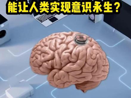 脑机接口,可帮助人类实现意识永生?